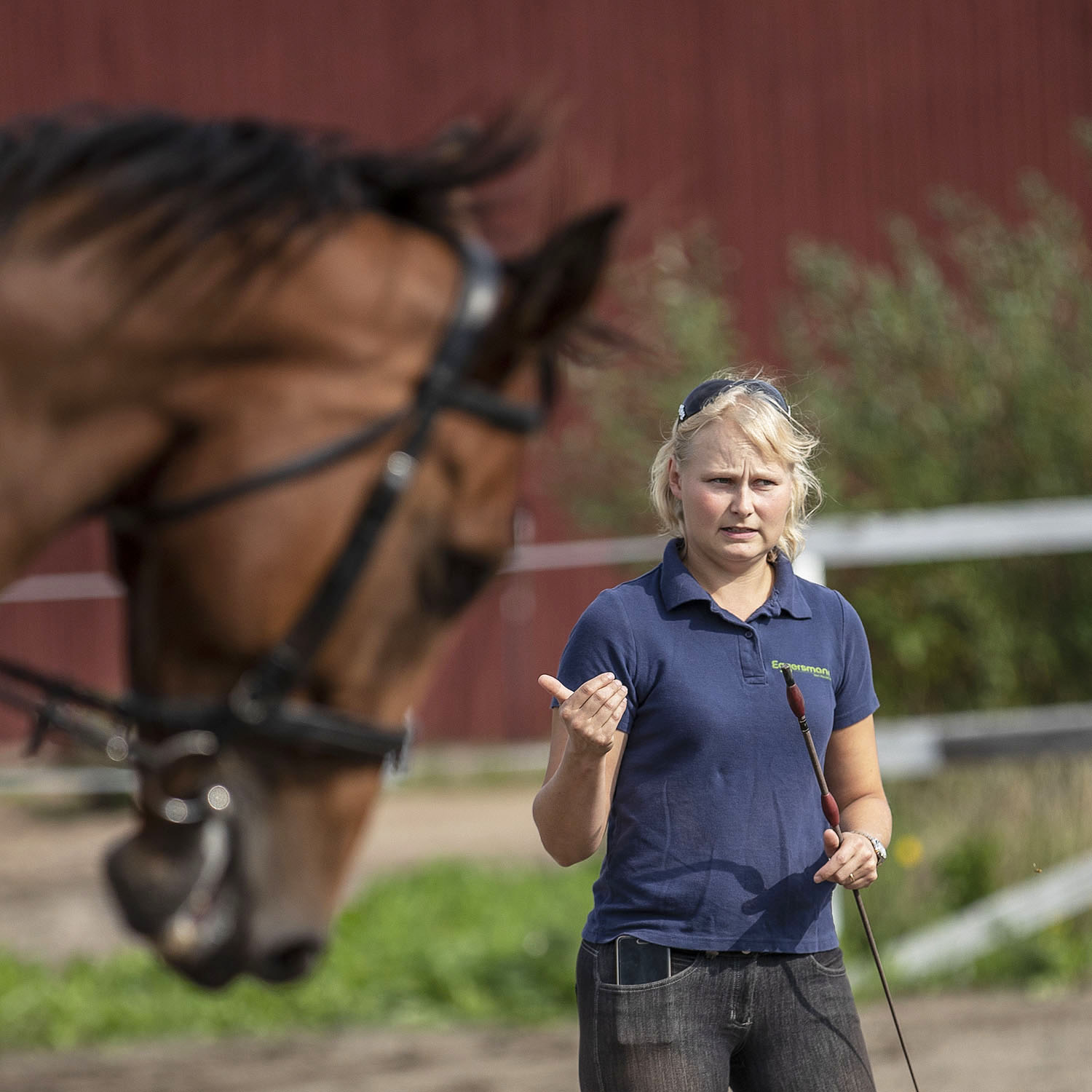 Hevosalan epäkohdat: Sairaana töissä seitsemän euron palkalla