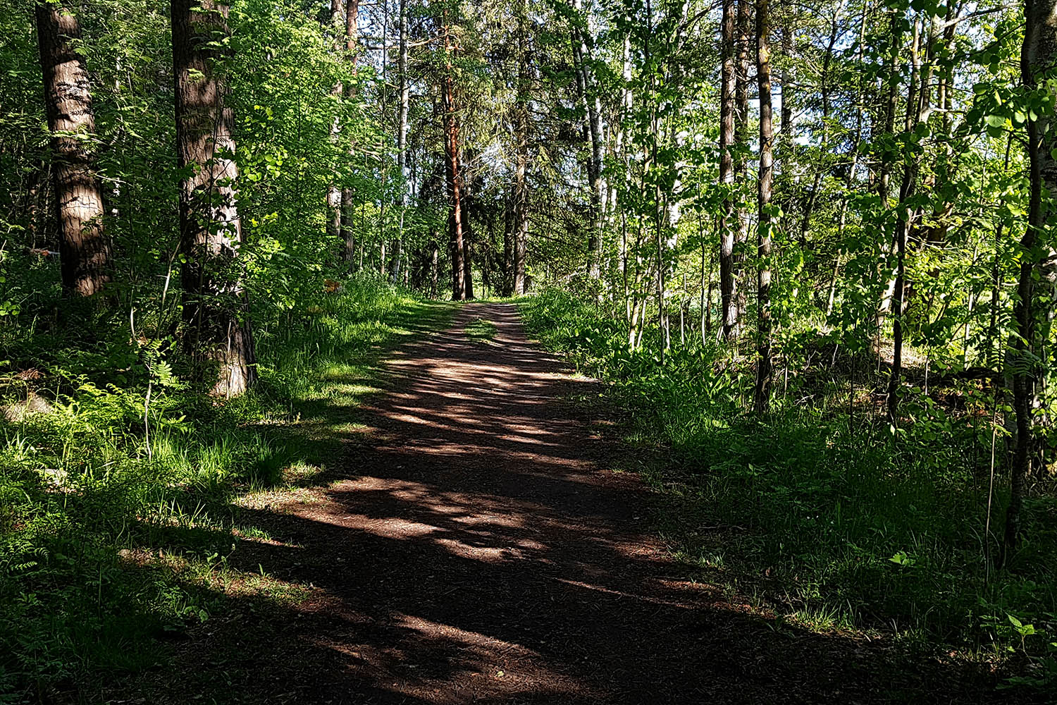 TYÖYMPÄRISTÖ: Elpymiseen on oikeus, luonnollisesti