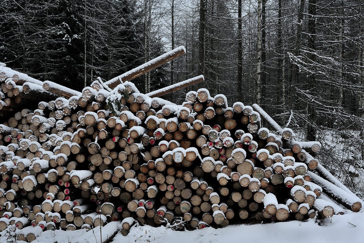 UPM Timberin yt-ilmoitus tuli yllätyksenä