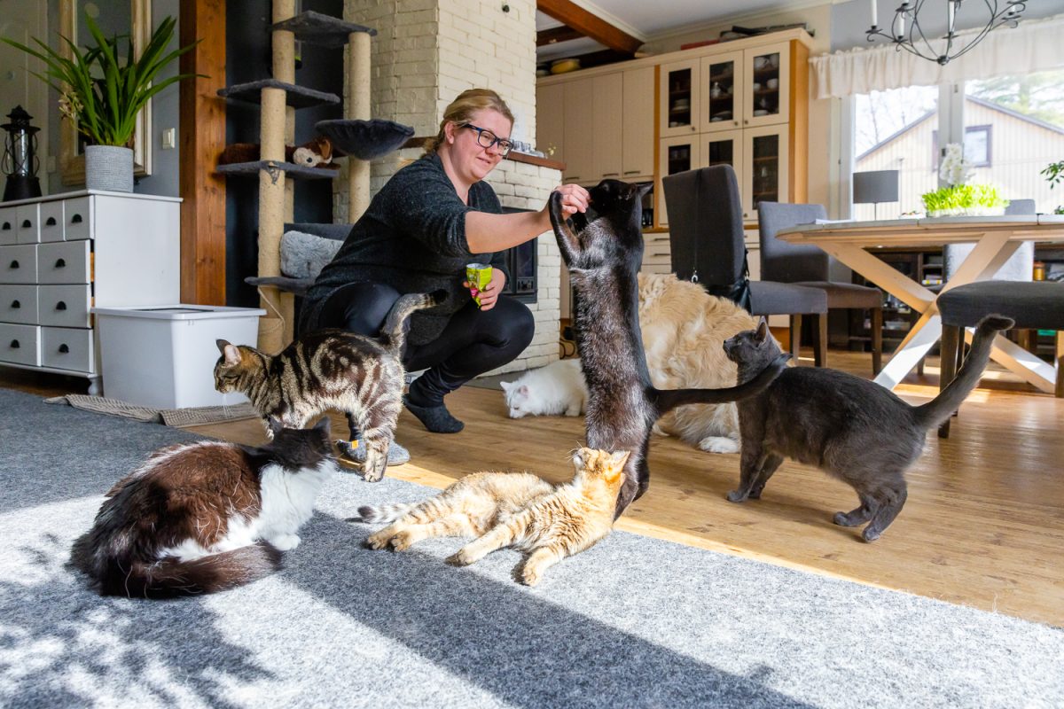 Åtta katter håller hus hemma hos produktionsarbetare Ronja Grönholm.