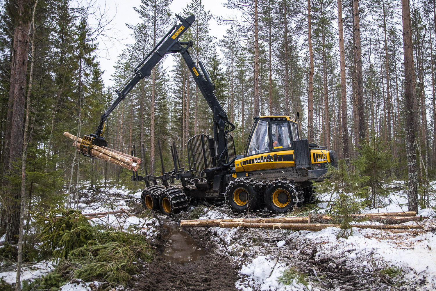 ”Kaikilla on oikeus hyvään johtamiseen” – metsäalalle tarvitaan lisää esihenkilöosaamista