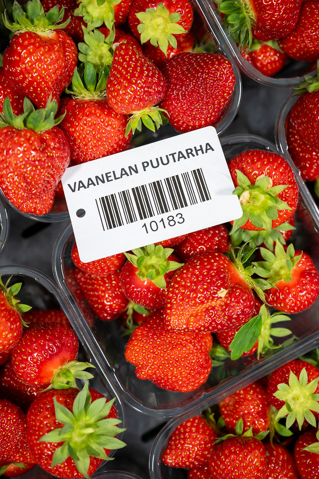 Mansikoita muovirasioissa
